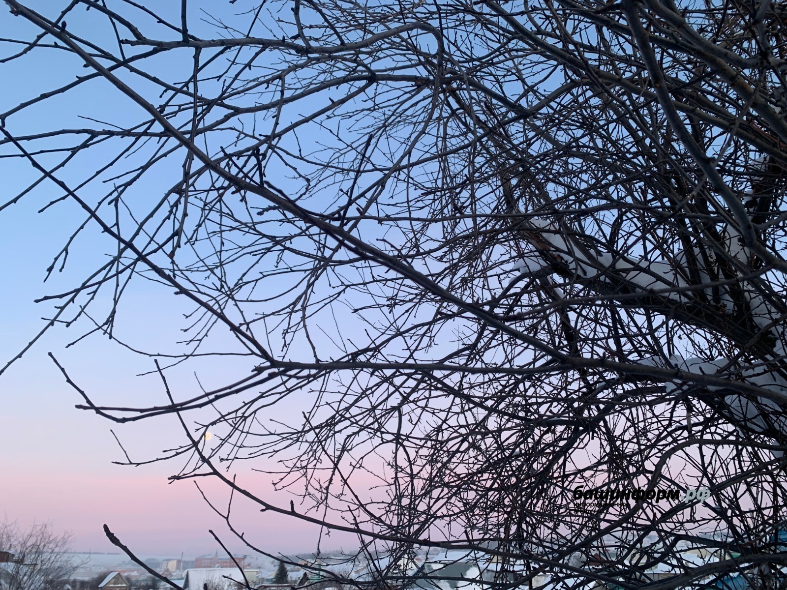 Галина Бахшиева Башинформ