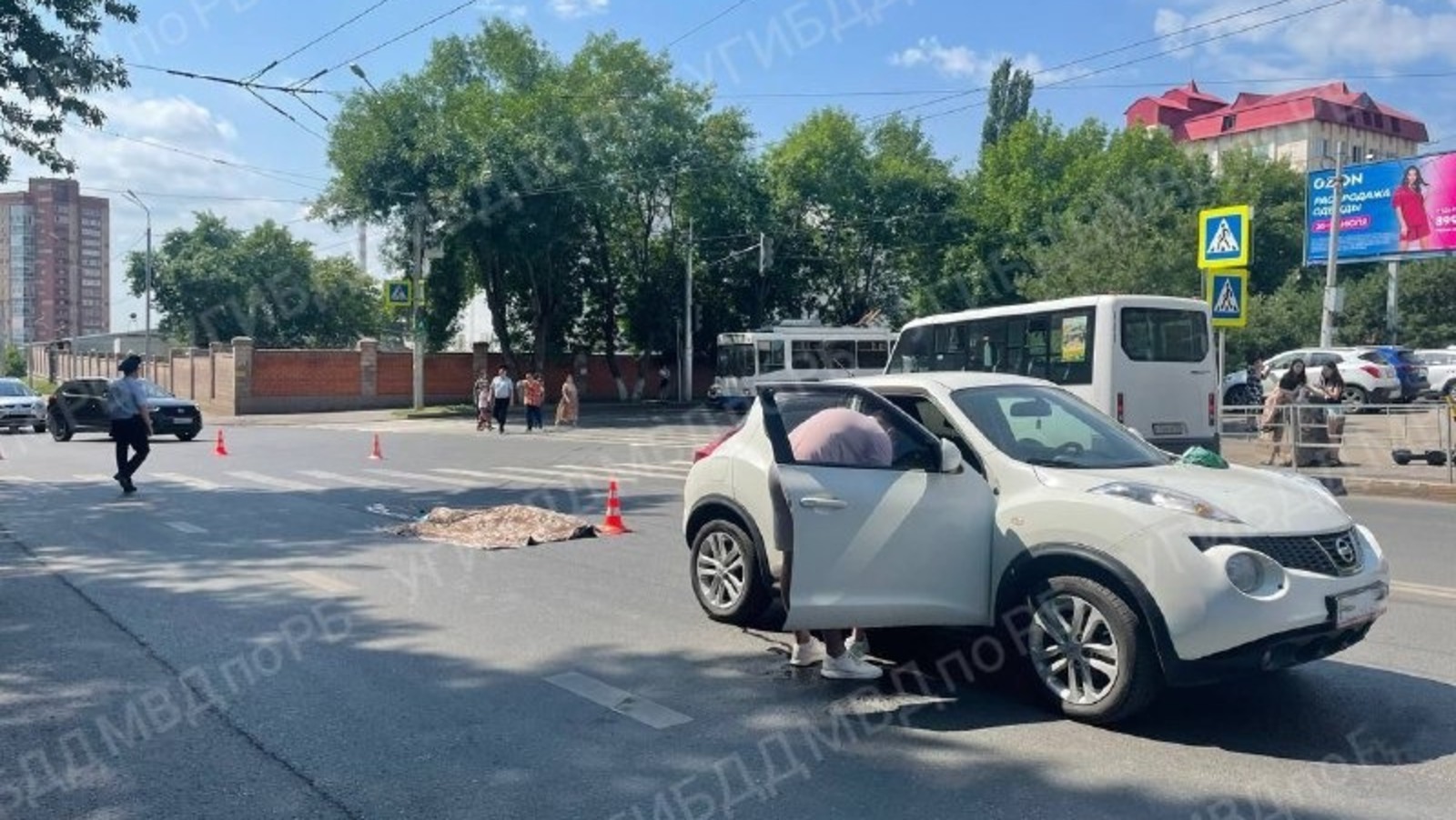 ТГ-канал Владимира Севастьянова