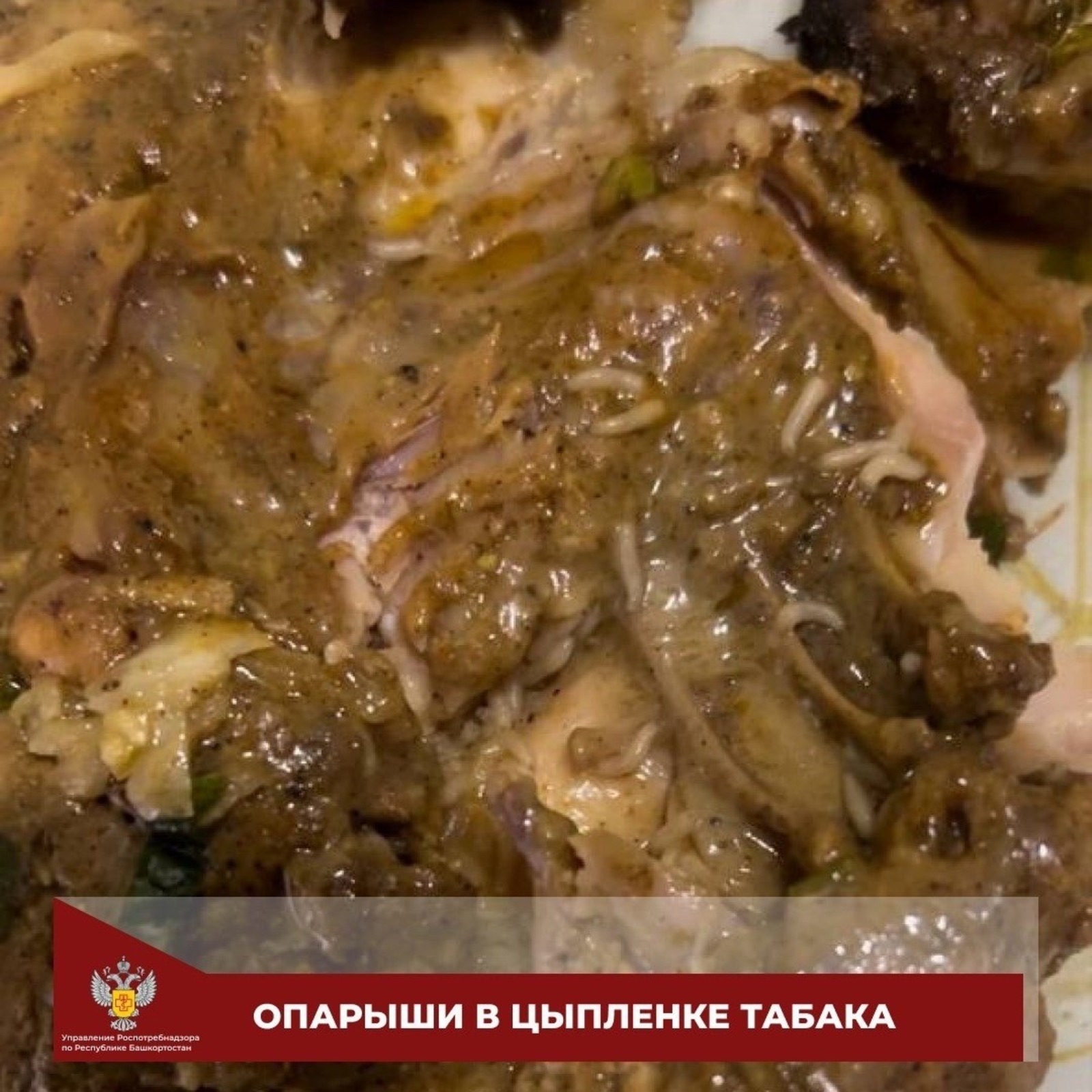 управление Роспотребнадзора по РБ, Vk