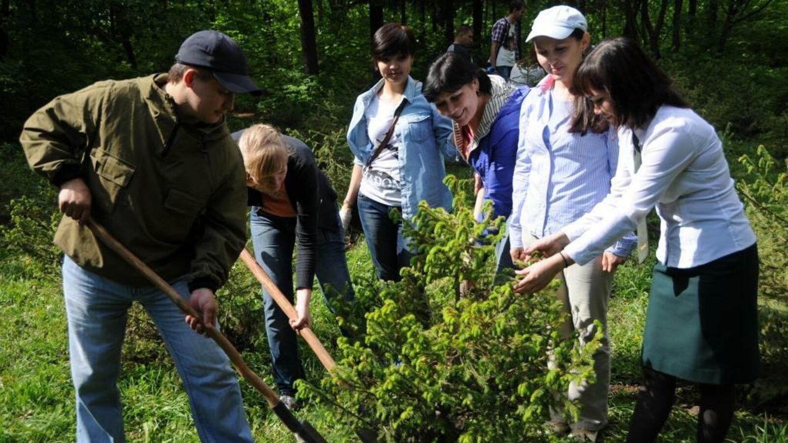 Николай Масенков
