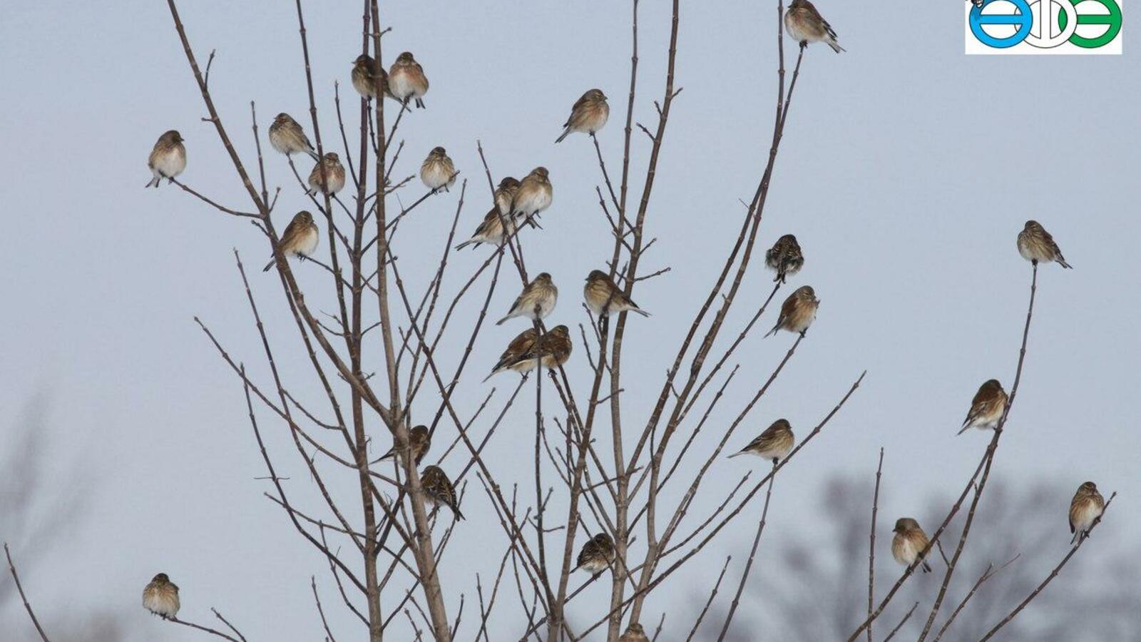 Полина Полежанкина