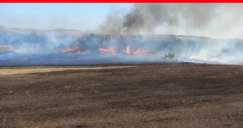 В Башкирии продолжаются масштабные лесные пожары