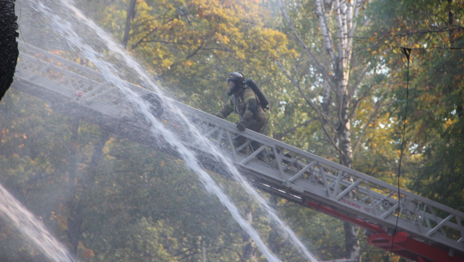 Ксения Калинина