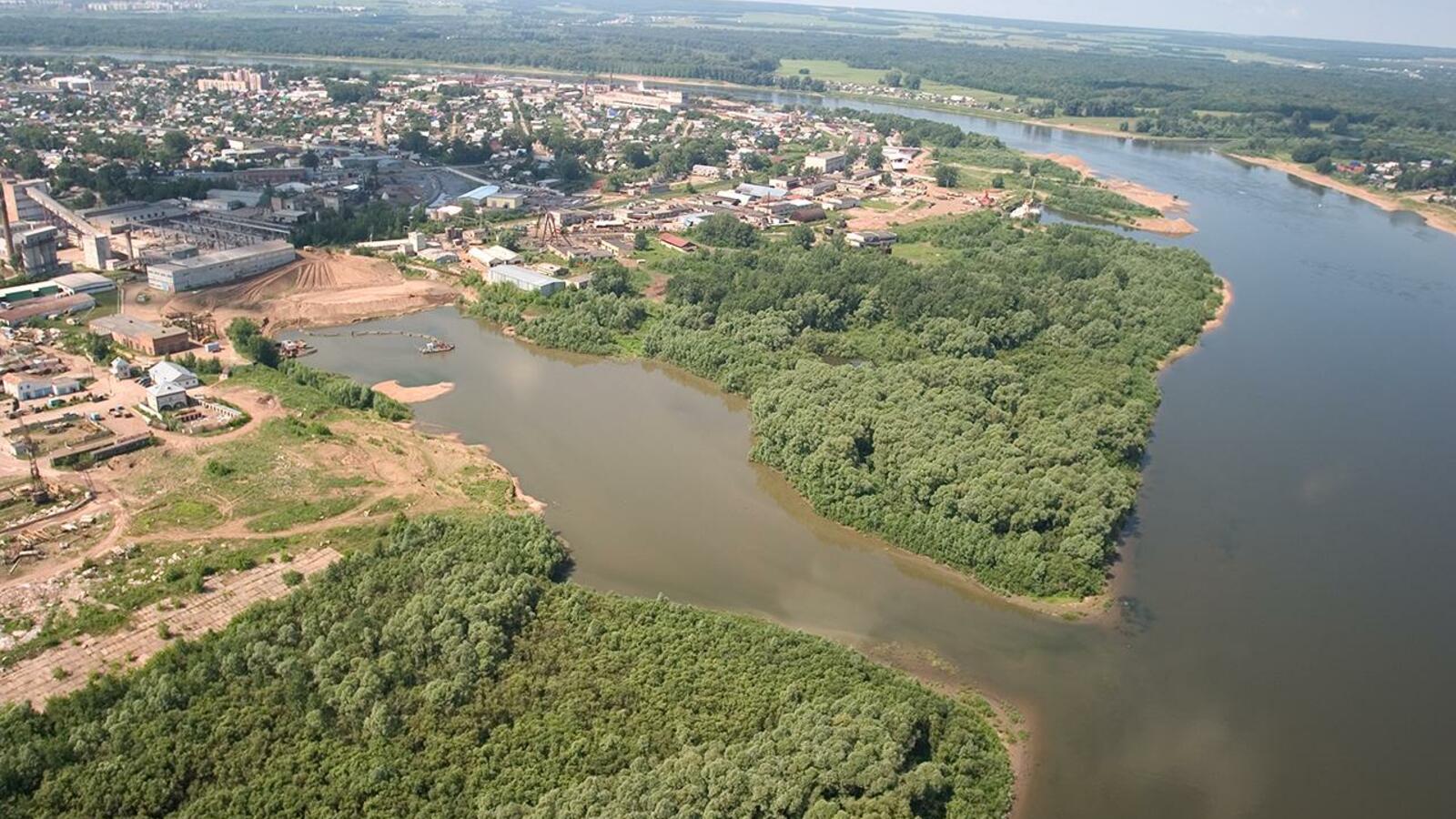 Андрей Старостин