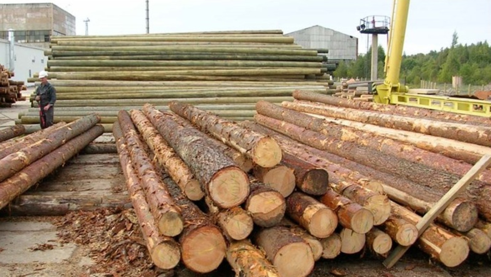 Минлесхоз РБ