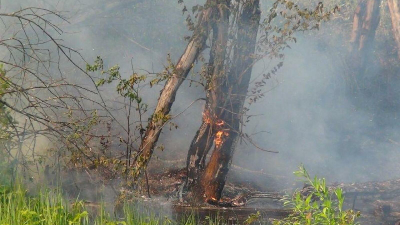 ИА «Башинформ»