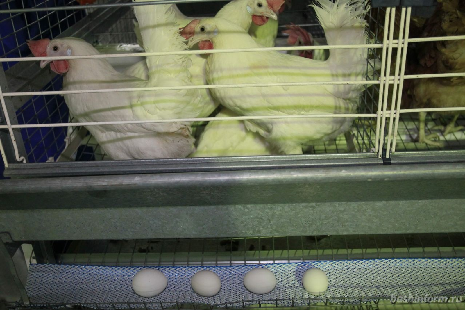 Олег Яровиков