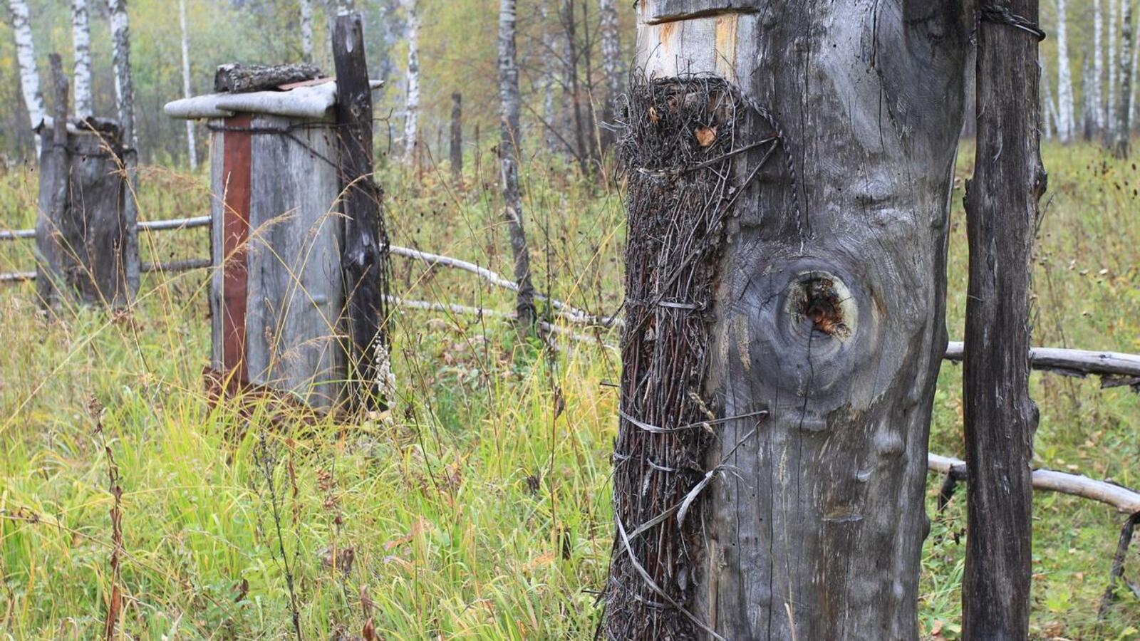 Государственное Собрание - Курултай Республики Башкортостан