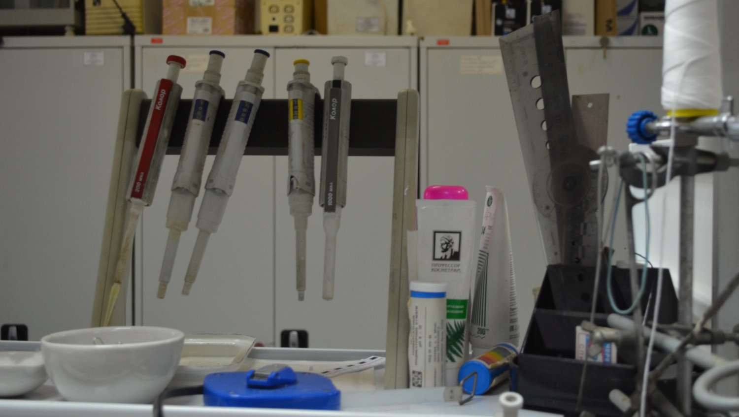 Ксения Калинина