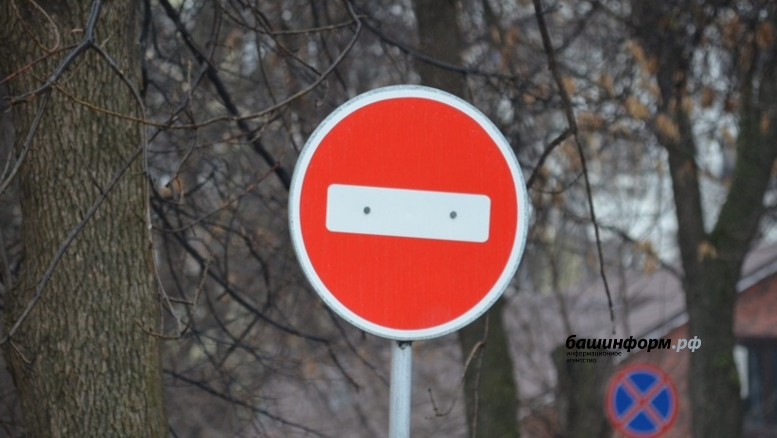 Ксения Калинина   ИА «Башинформ»