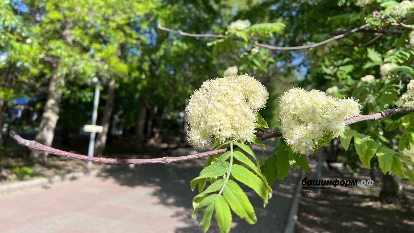 Ксения Калинина