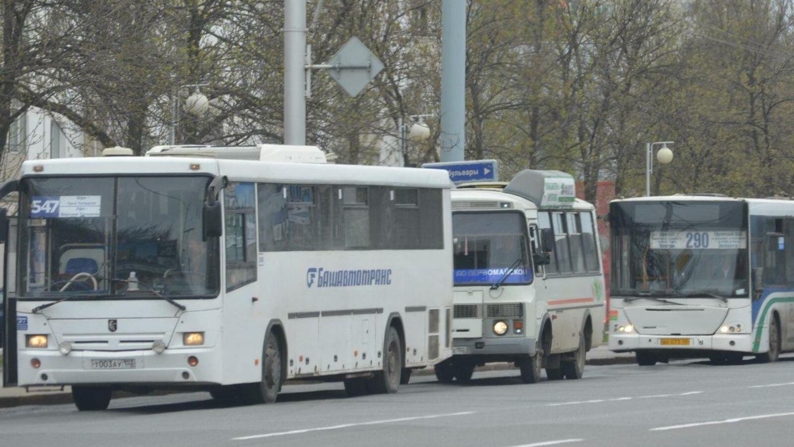 Ксения Калинина