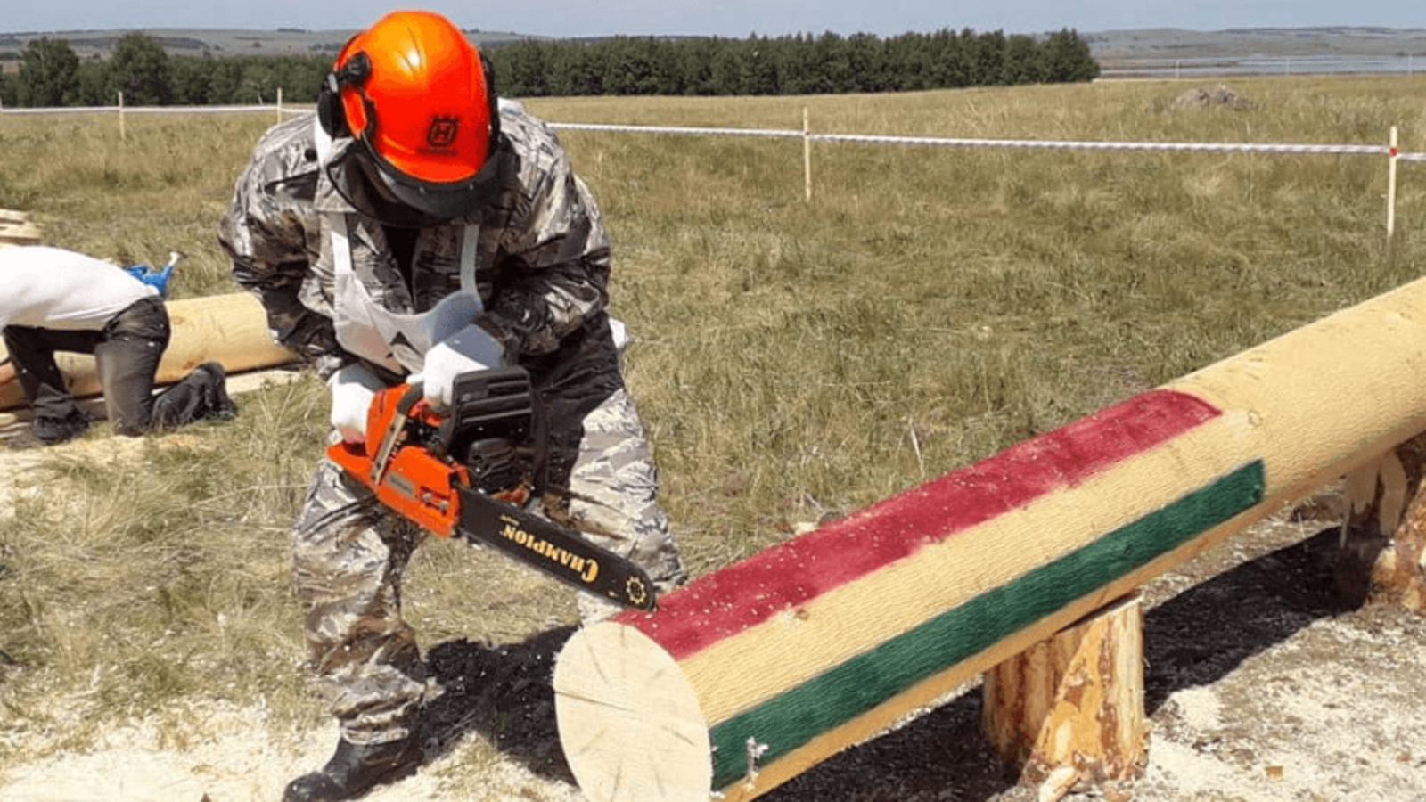 Минлесхоз РБ