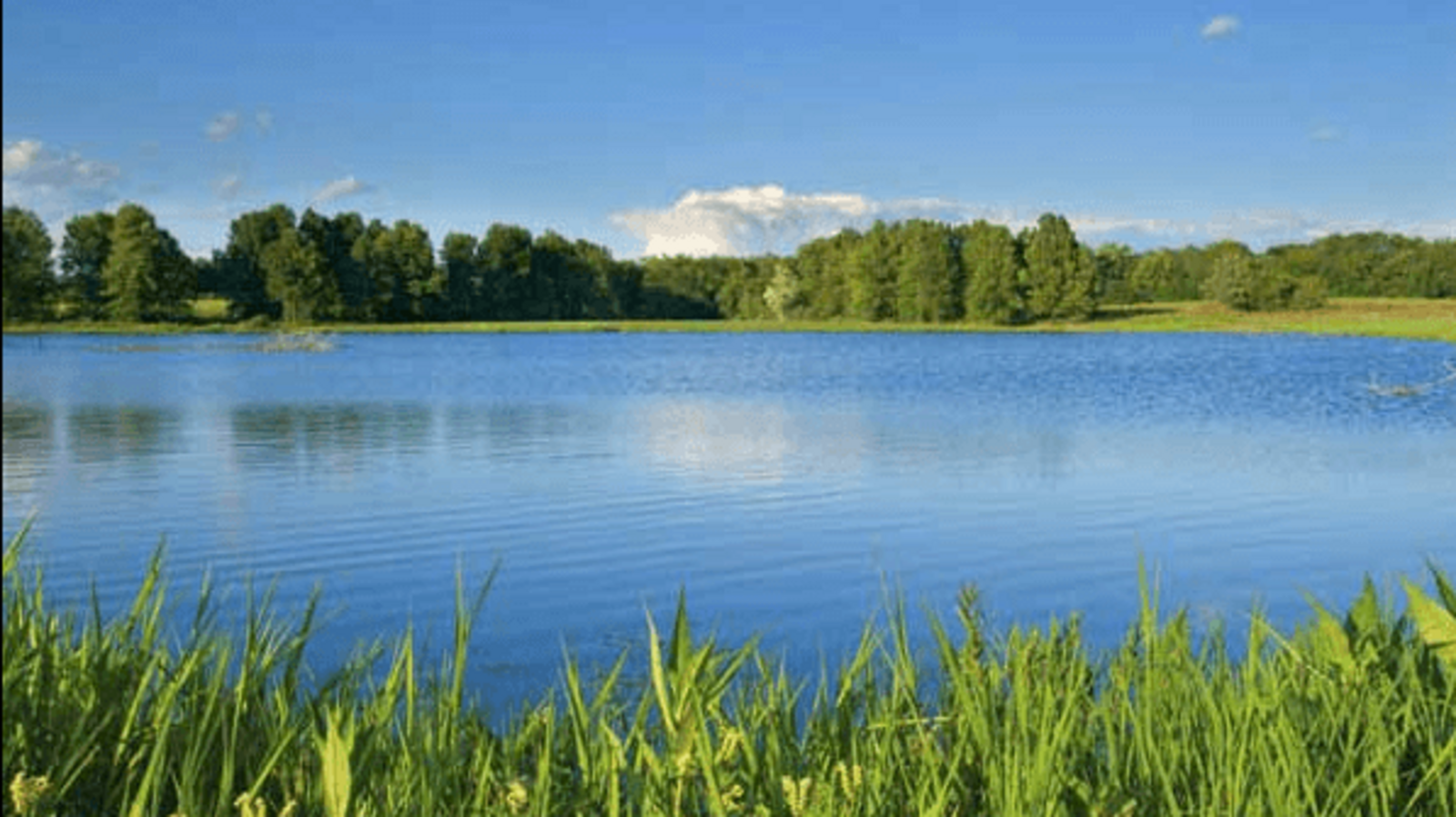 пресс-служба Госкомитета по ЧС РБ