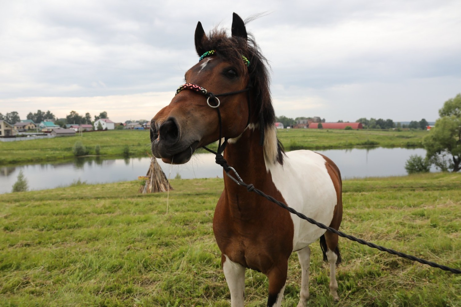 Валерий Шахов