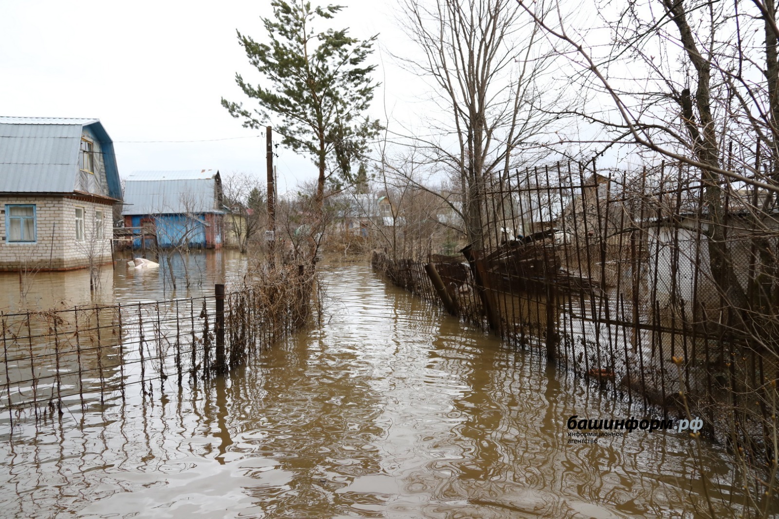 Валерий Шахов