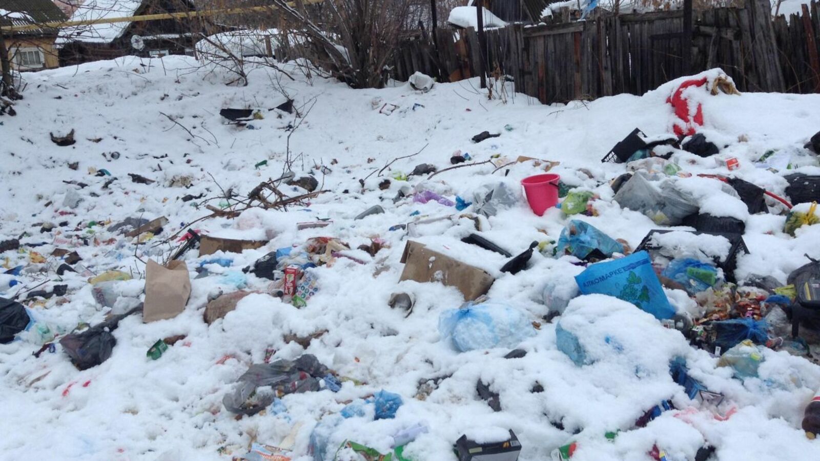 Дмитрий Слезин