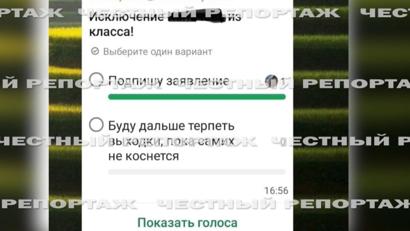 стоп-кадр видео «Честный репортаж», телеграм