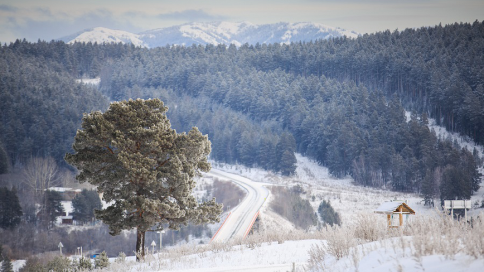 из открытых источников