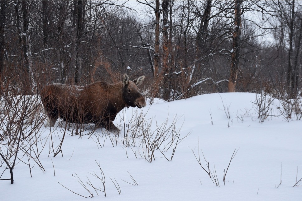 Мирон Доровских ИА «Башинформ»