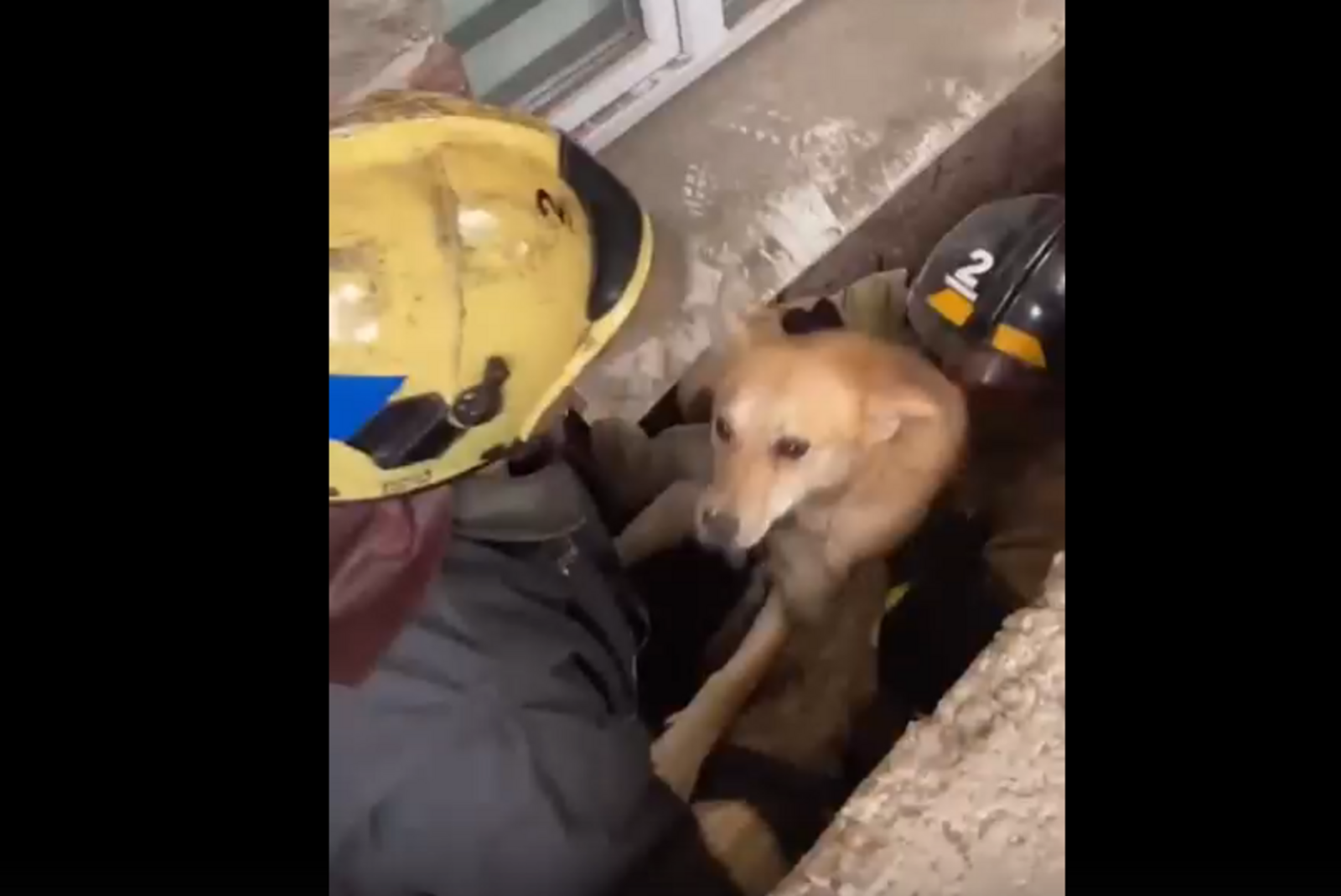 Стоп-кадр видео