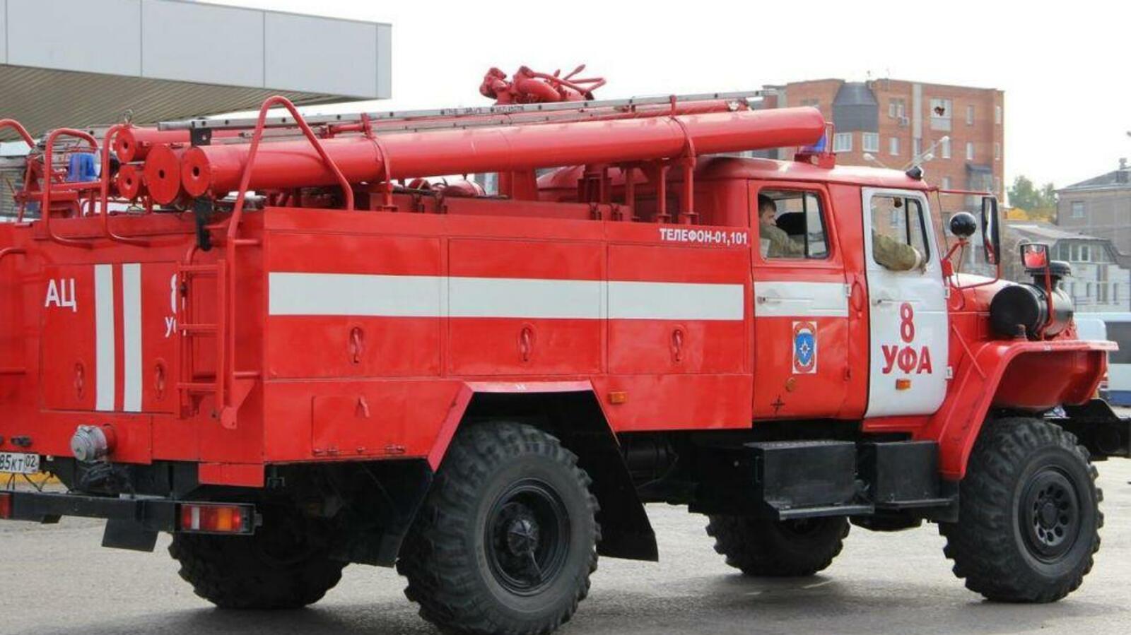 Ксения Калинина