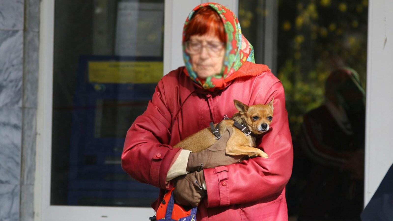 Валерий Шахов