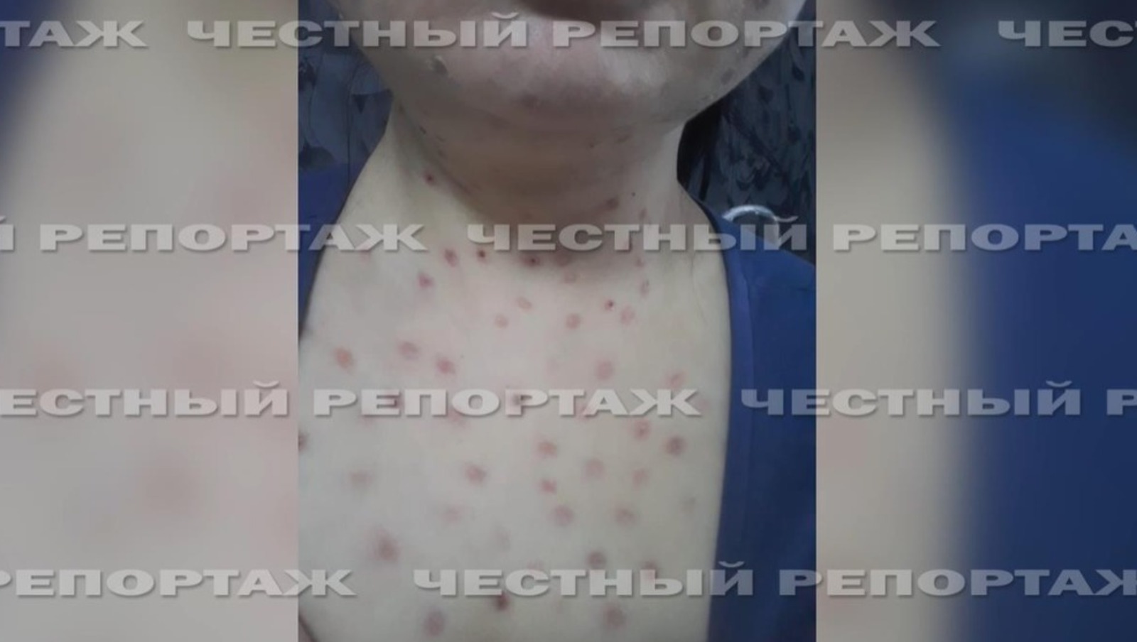 стоп-кадр видео «Честный репортаж», телеграм