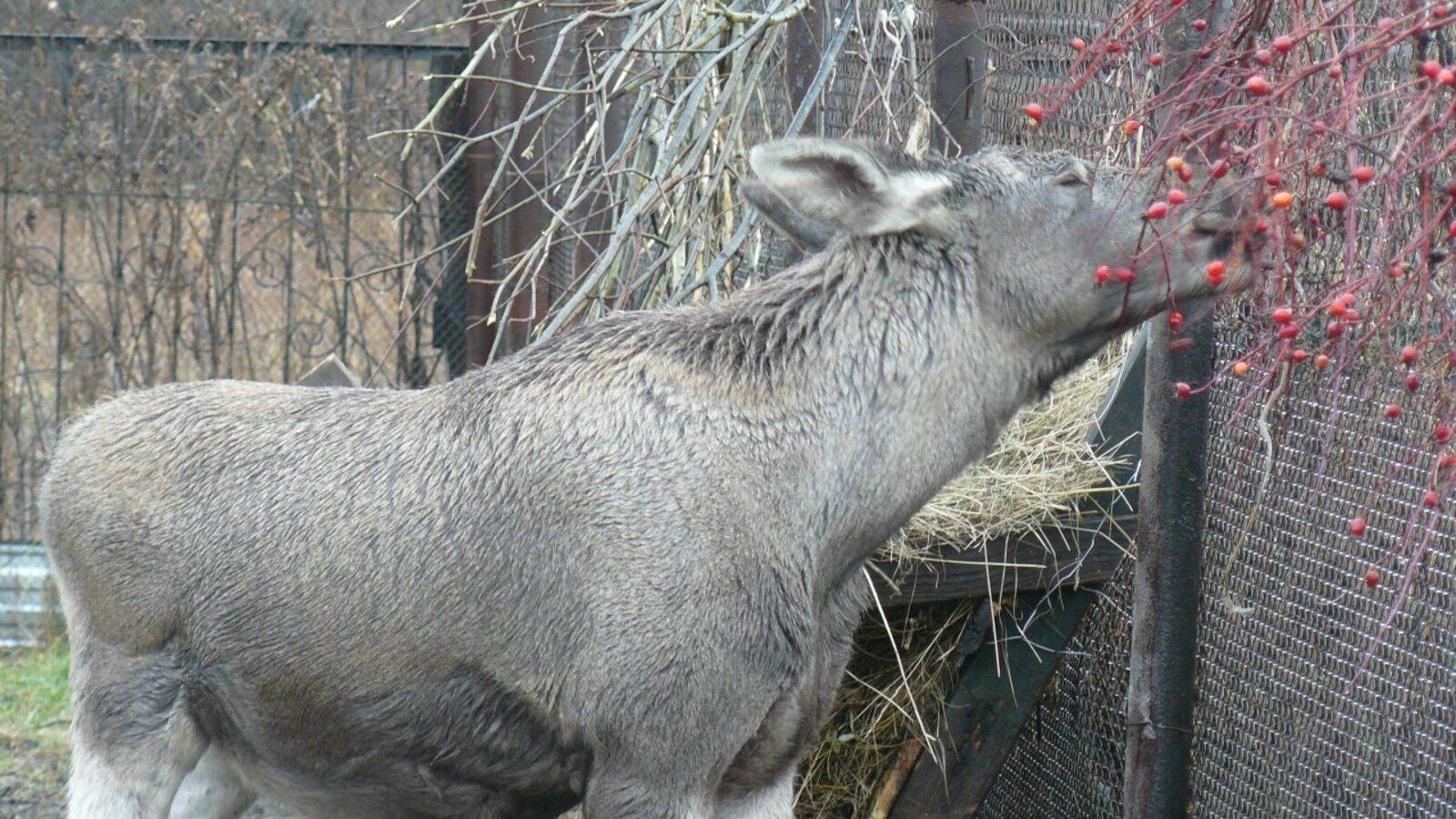 Лилия Нуретдинова