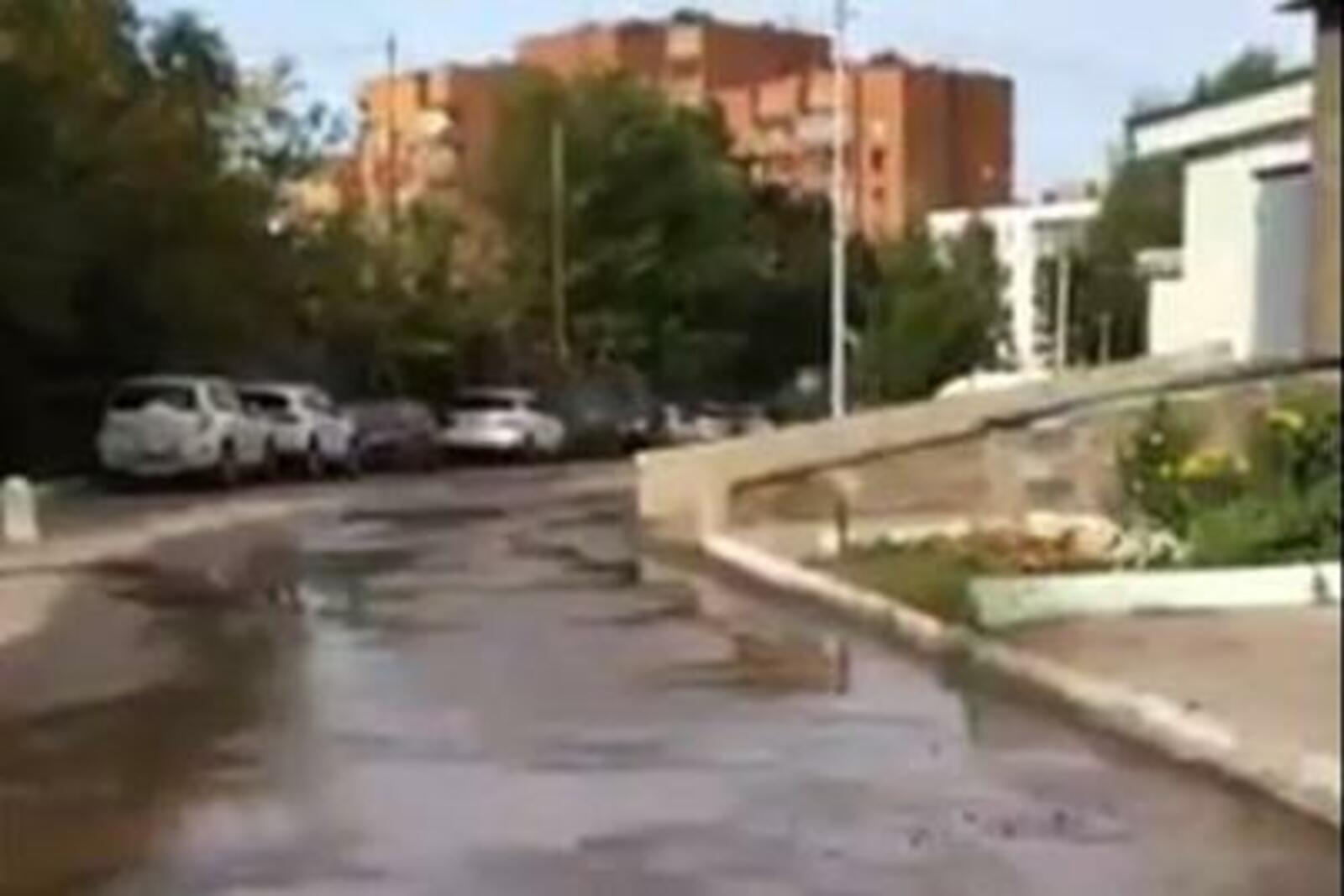 Олег Султанов