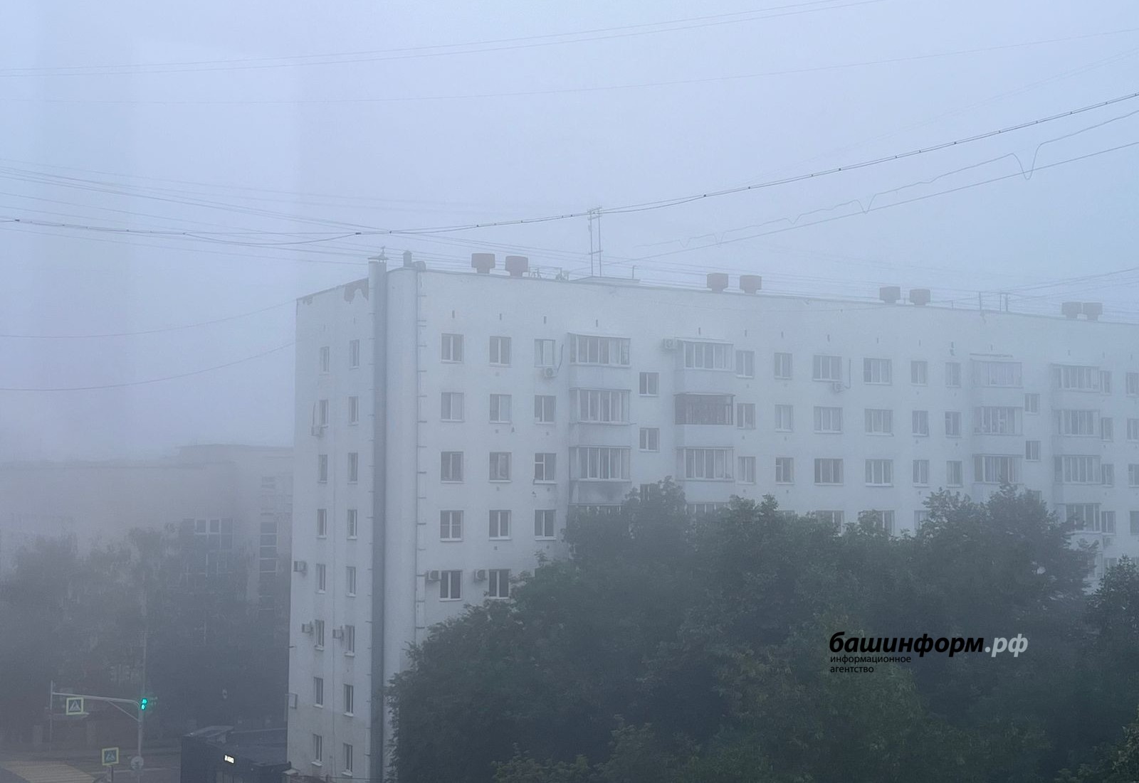 Ксения Калинина