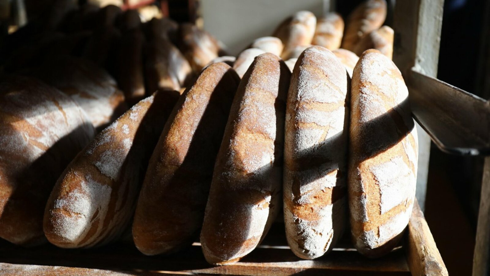 Валерий Шахов