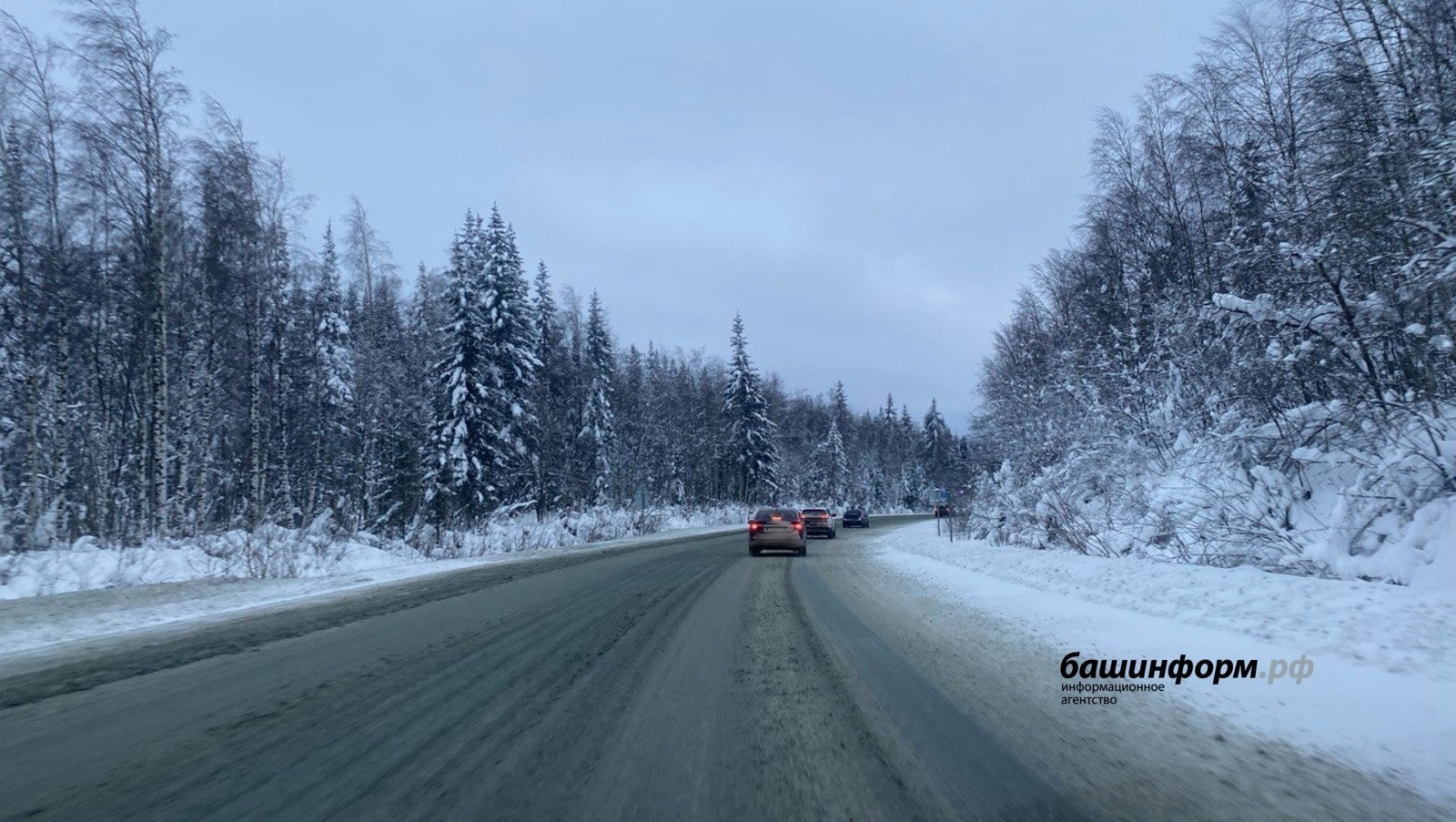 Инсаф Хужабирганов  ИА «Башинформ»