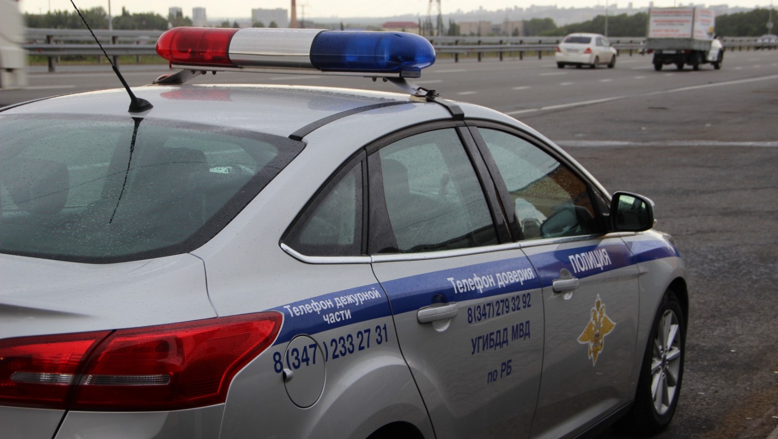 Ксения Калинина