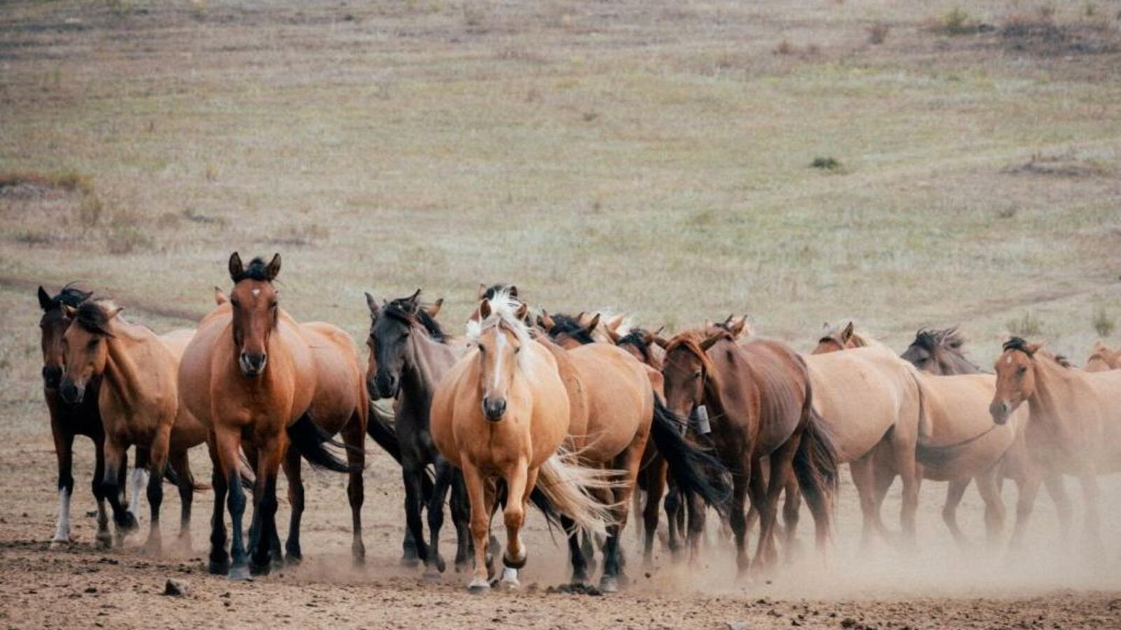 Минсельхоз РБ