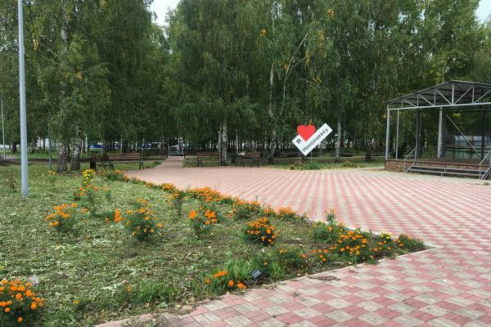 пресс-служба регионального отделения ОНФ