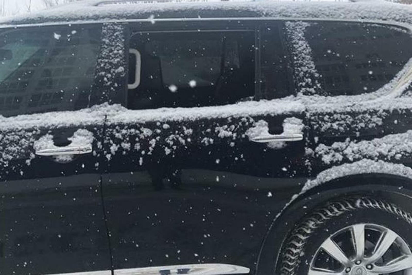 группа «БашДТП», Instagram