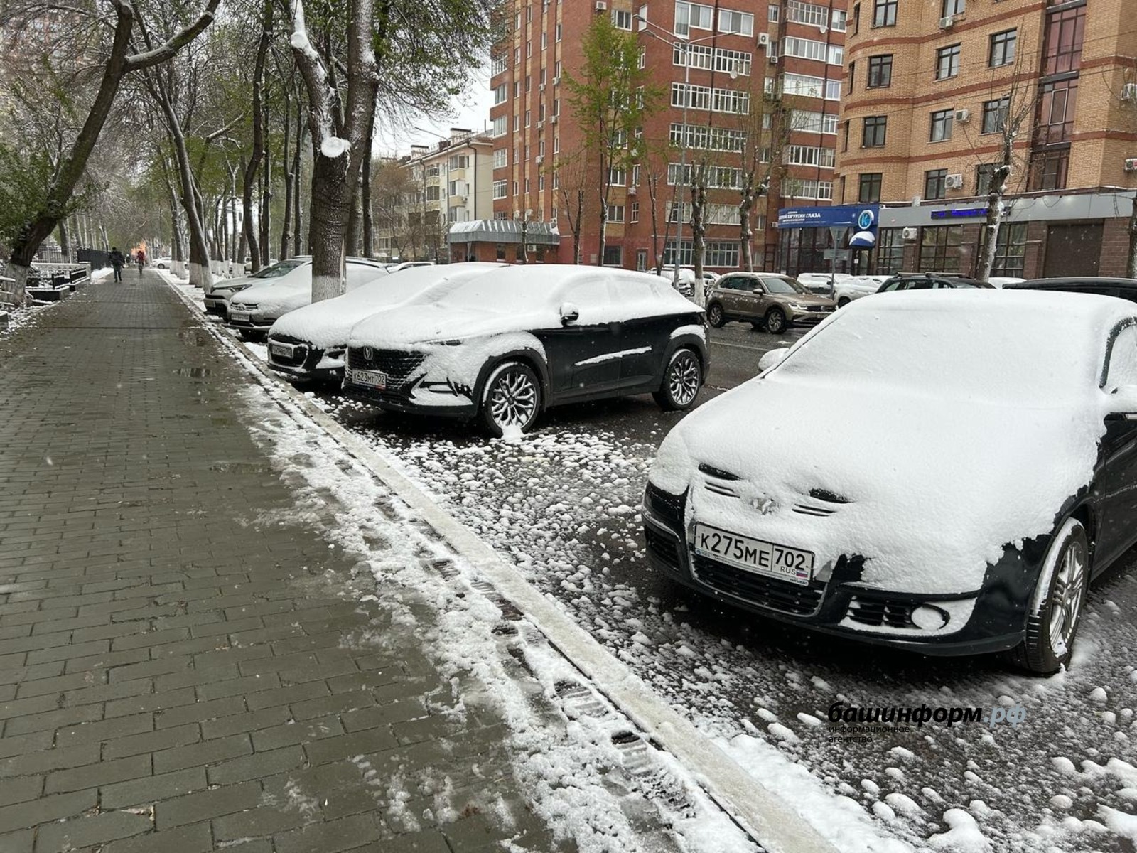 Владимир Субботин