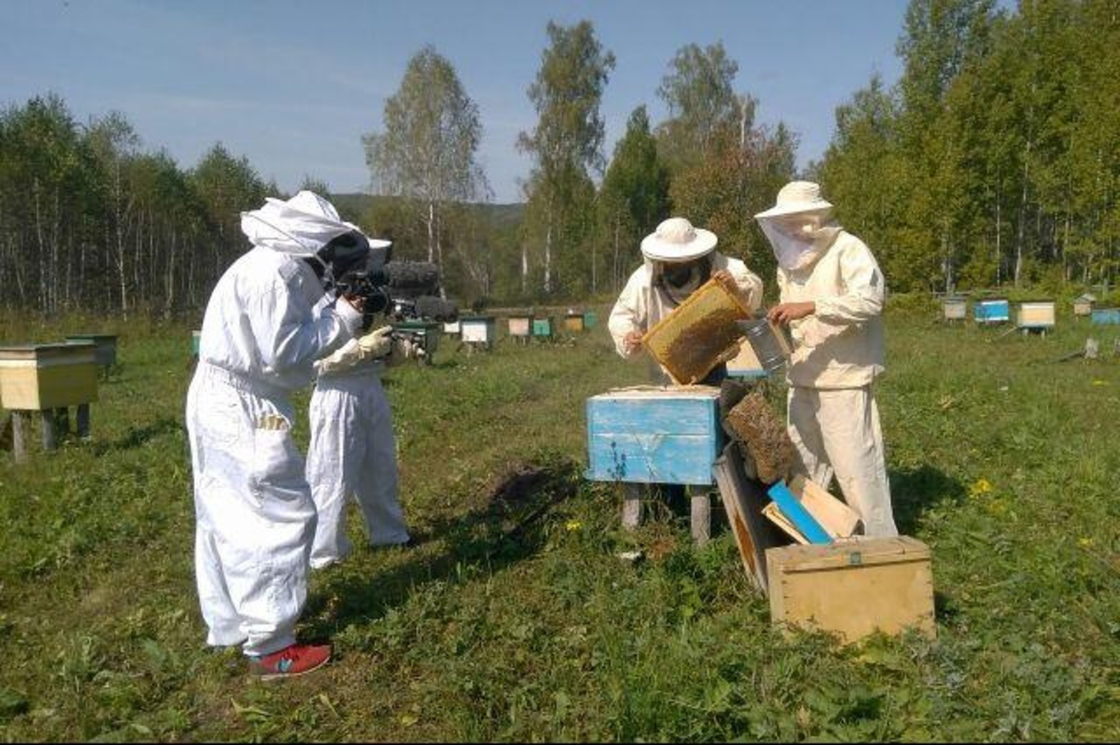 Александра Дальсбек