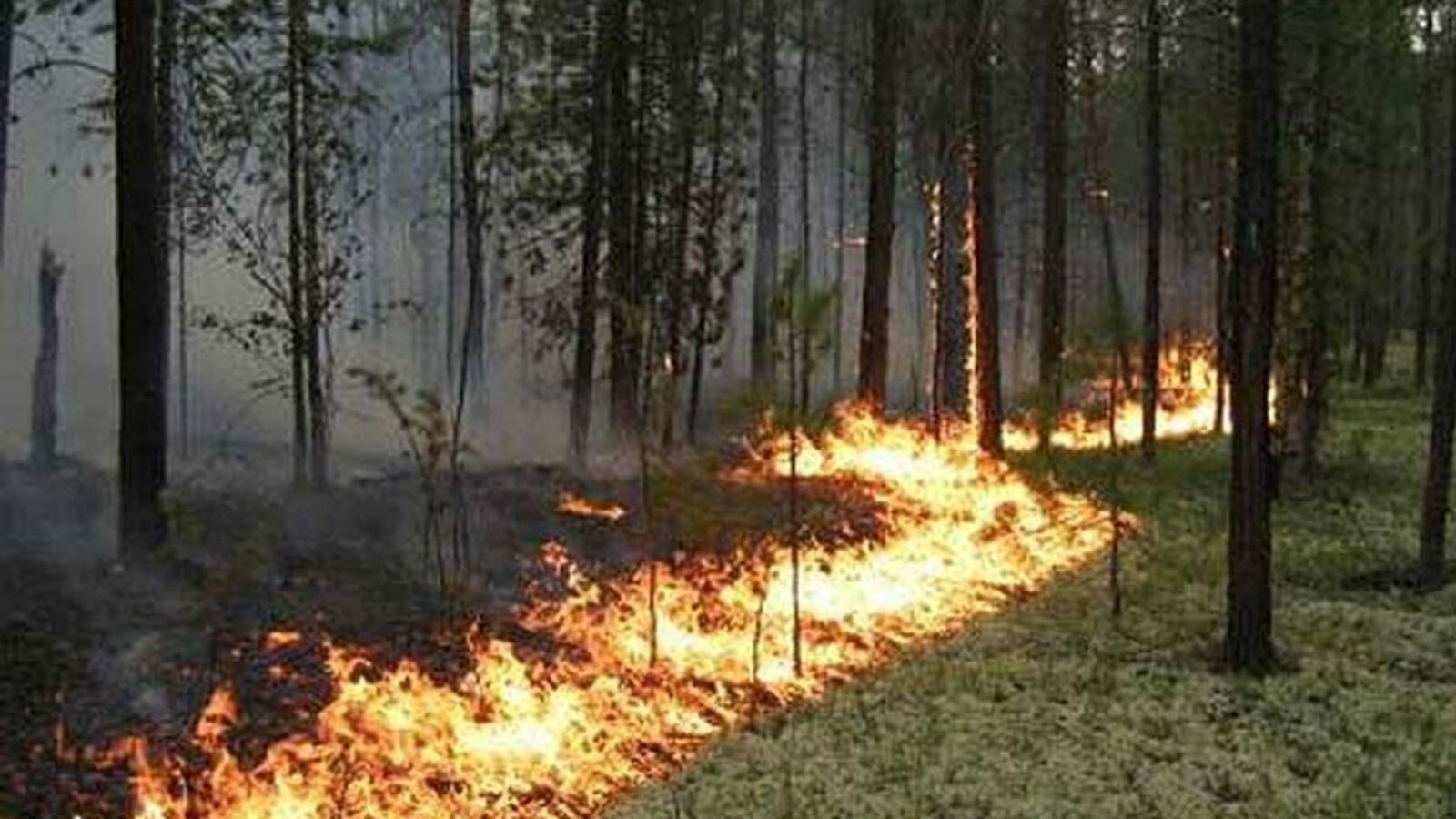 ИА «Башинформ»