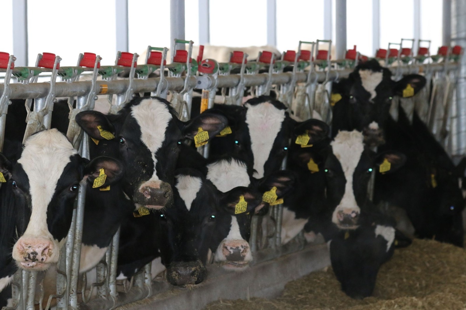 пресс-служба  минсельхоза Башкирии