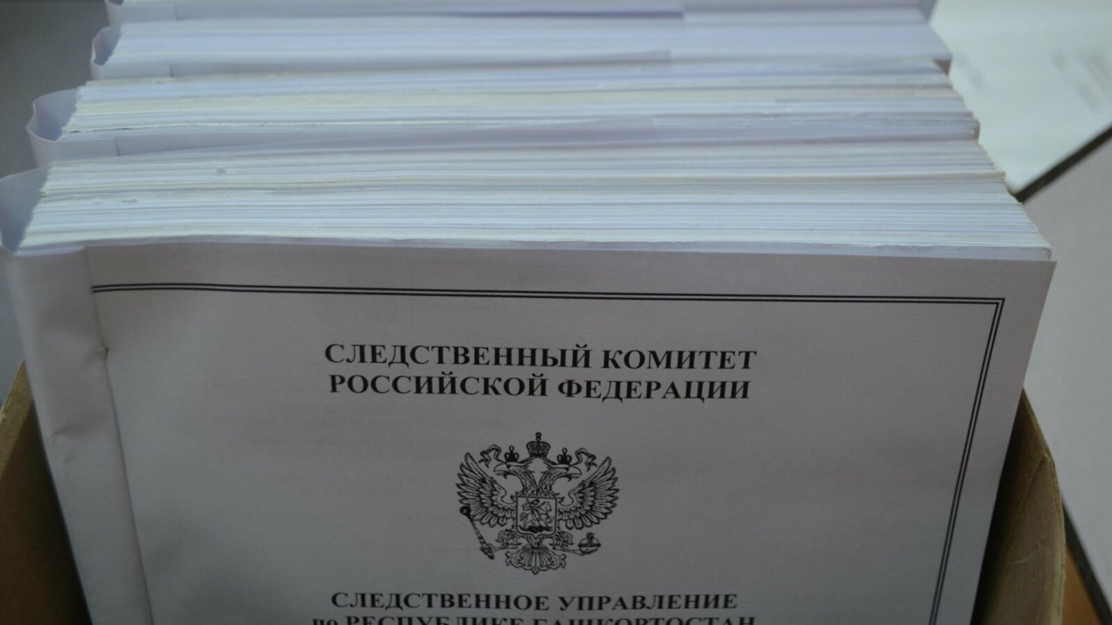 Ксения Калинина