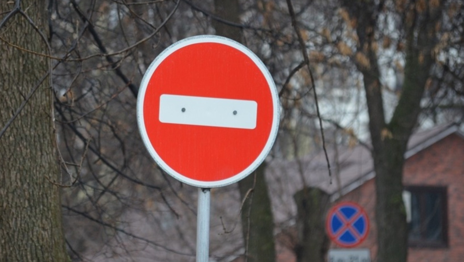 Ксения Калинина