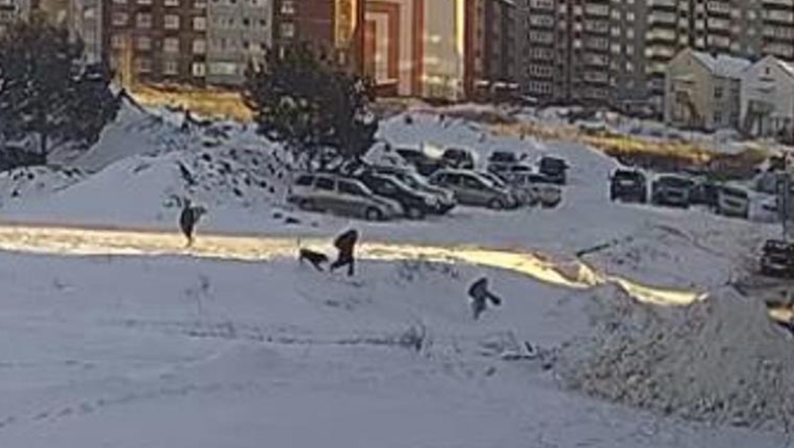 видео Vk