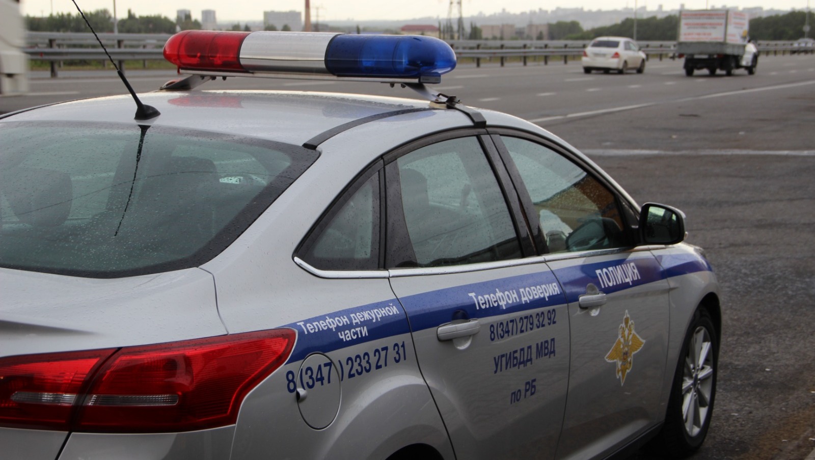 Ксения Калинина