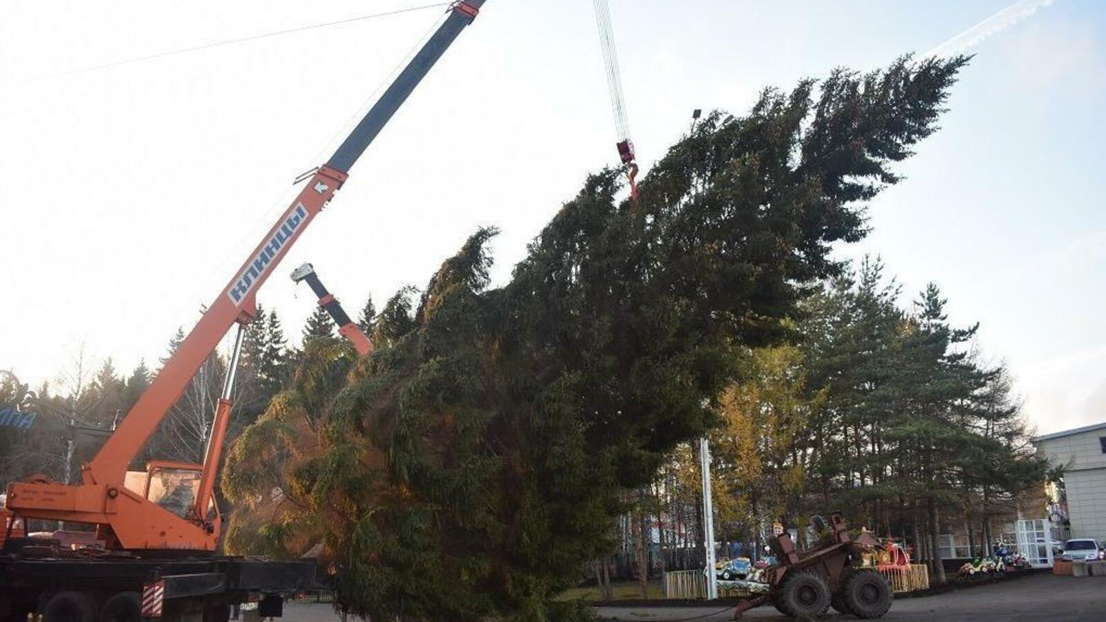 пресс-служба администрации Уфы