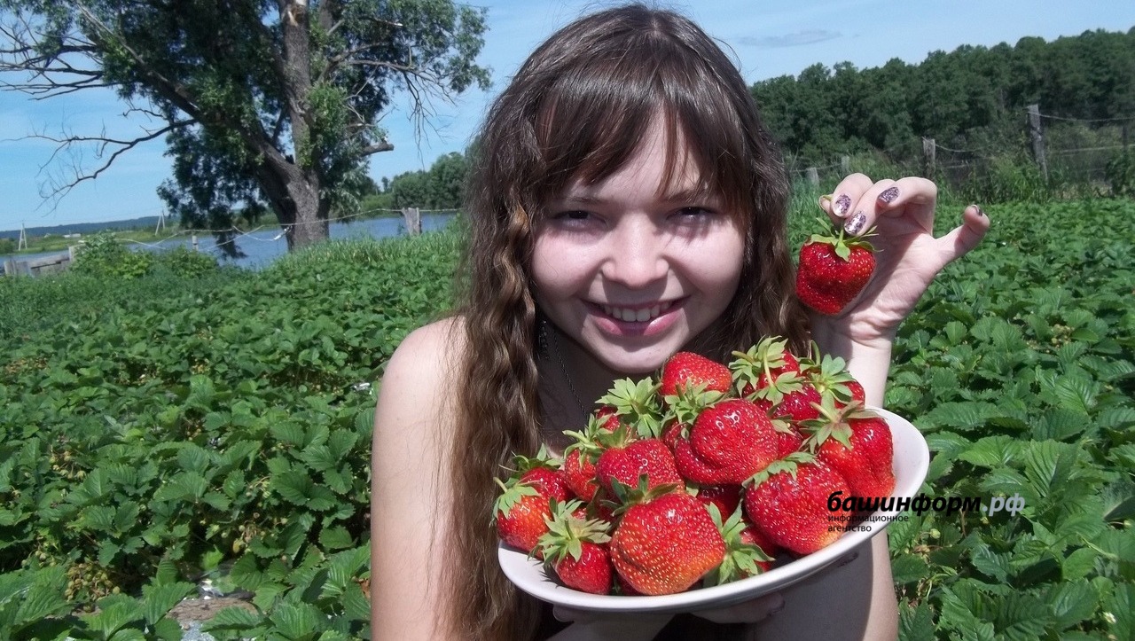 Розалия Валеева  Результат многомесячного труда - крупная и сладкая ягода