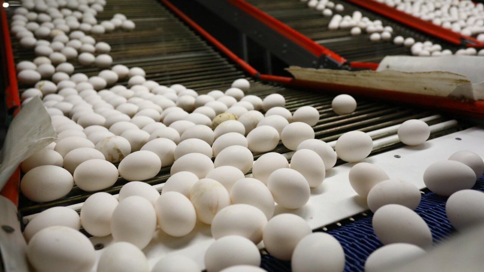 Валерий Шахов