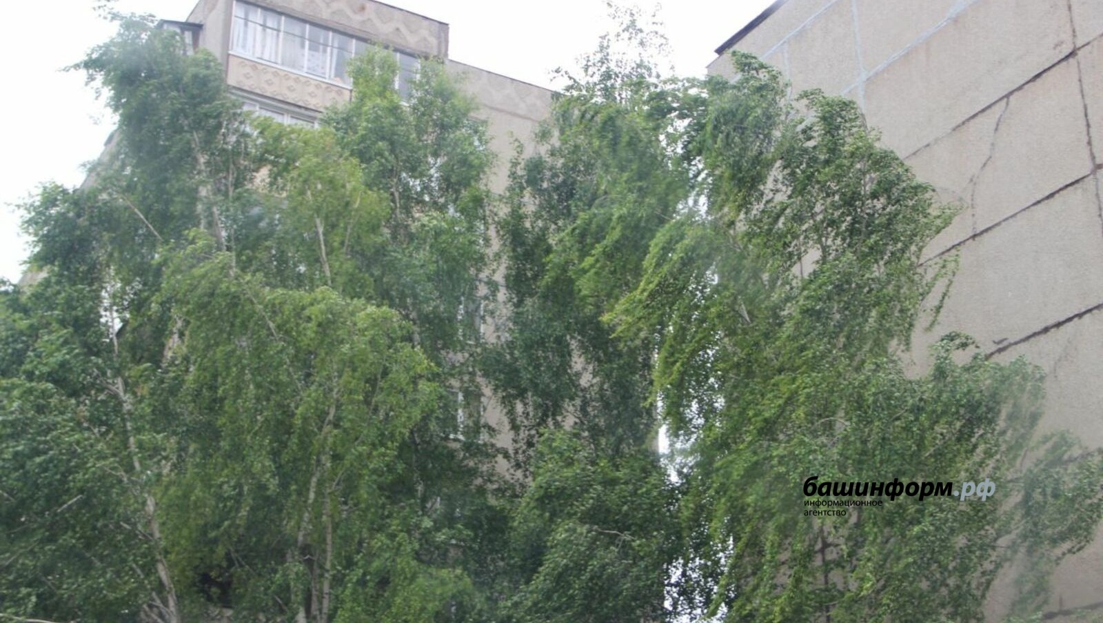 Ксения Калинина