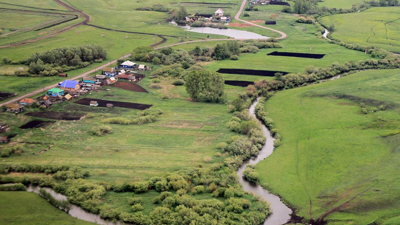 Андрей Старостин